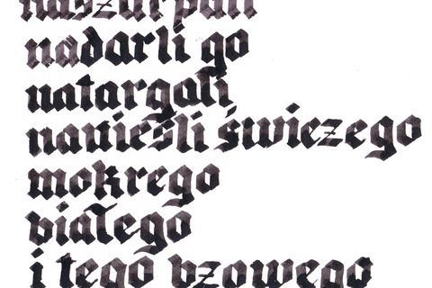 Wroclaw: Calligraphy Workshops