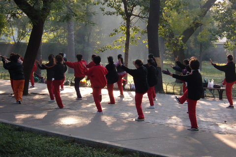 Chengdu: Tai Chi & Kung Fu Class with a Master