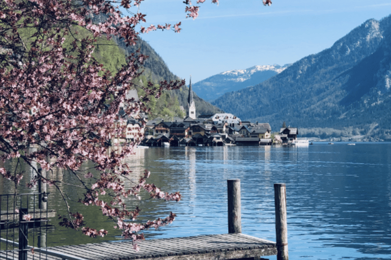 Salzburg: Hallstatt and Austrian Alps Private Day Trip