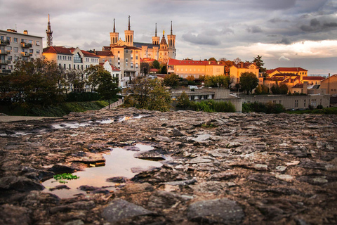 Lyon Essentials – Discovery Cruise Tour in the Heart of the City
