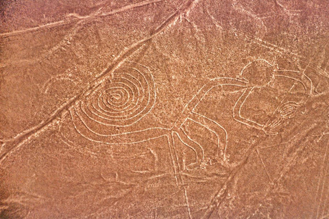 From Ica: Overflight in the Nazca Lines