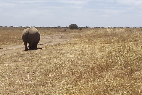 2 Tage nach Tsavo Ost von Mombasa aus