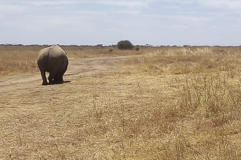 2 Days to Tsavo East from Mombasa