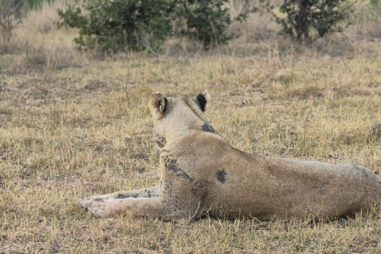 From Maputo: 2-Day Kruger National Park Safari