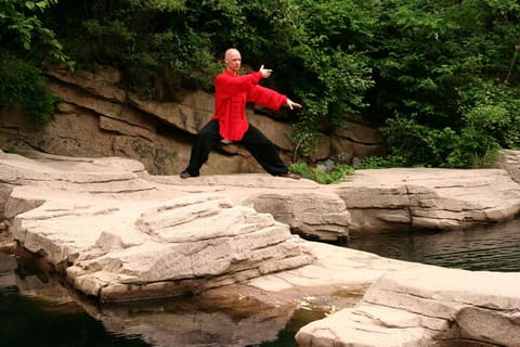 Shanghai: Ancient Chinese Wellness Experience Retreat