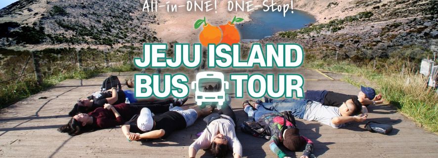 Jeju Island South Bus Tour with Lunch included Full Day Trip