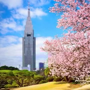Tokyo: Private Guided Tour with Hotel Pickup and Drop-off