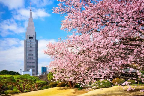 Tour Privado de Tokio de Un Día con Guía en Inglés