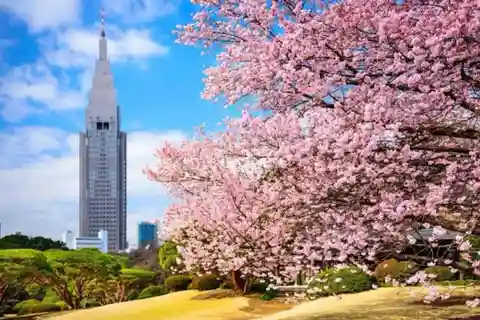 Tokyo: Private Guided Tour with Hotel Pickup and Drop-off