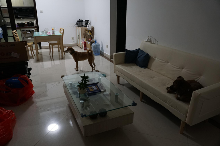 Guangzhou: 3-Day Local Experience with Host