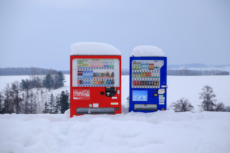 Hokkaido 10-stündige gecharterte Tagestour｜Otaru