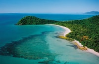 Port Douglas, Daintree Rainforest and Mossman Gorge Tour - Housity