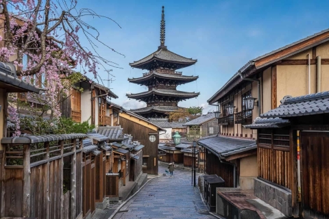 3 jours de visite privée d'Osaka, Kyoto et Nara avec chauffeur anglais