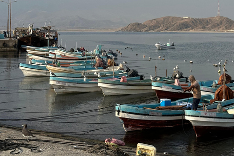 山地野生动物园山地探险