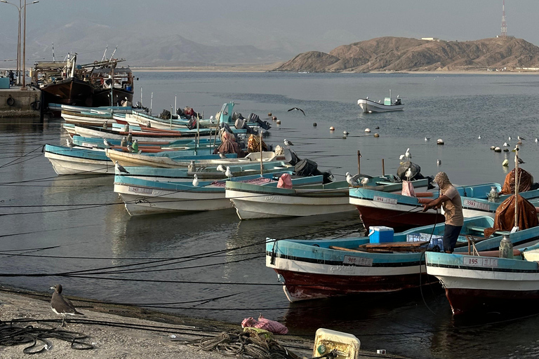 山地野生动物园山地探险