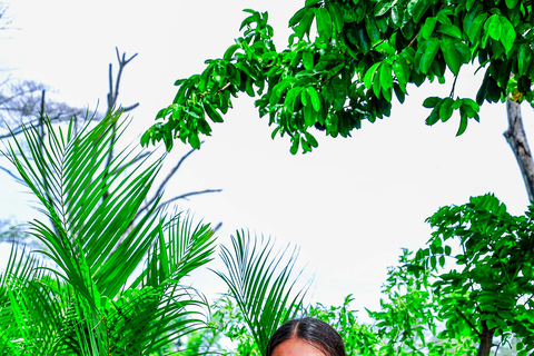 Punta Cana: Monkey Sanctuary, Farm & Cenote Swim Combo