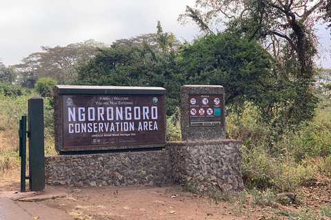 Desde Arusha: Safari de 2 días al Lago Manyara y al Ngorongoro ...