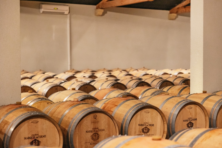 Ab Bordeaux: Saint-Émilion Halbtagestour mit Weinverkostung