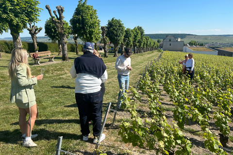 Champagne: Private Tour of Veuve Clicquot, Moët & Ruinart