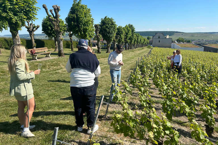 Champagne: Private Tour of Veuve Clicquot, Moët & Ruinart