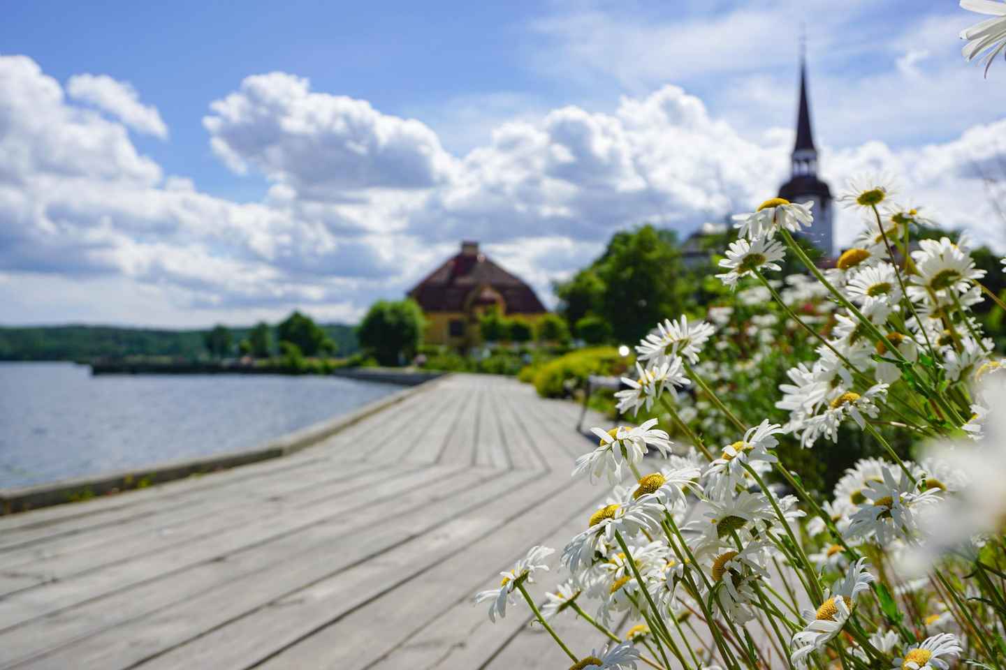 Sigtuna: Private Family Walking Tour with Museum - Sigtuna: Private Family Walking Tour with Museum