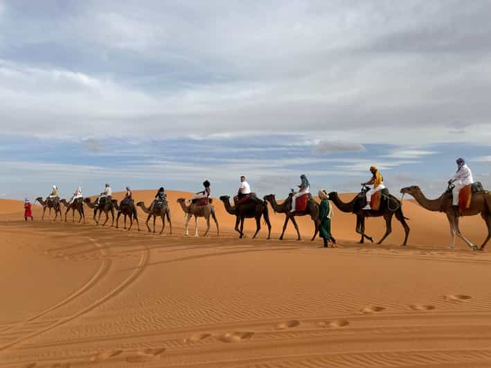 Depuis Marrakech : visite d'une journée à Fès via le désert de Merzouga - dromadaire