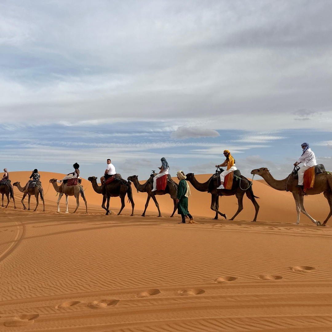 Depuis Marrakech : visite d'une journée à Fès via le désert de Merzouga - dromadaire