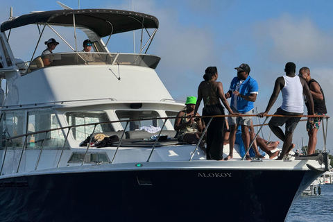 Marina del Rey: Yachts of the Rich and Famous Tour