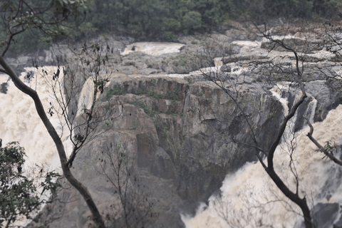 Kuranda Self-Guided: Skyrail & Railway w/ Express Transfers