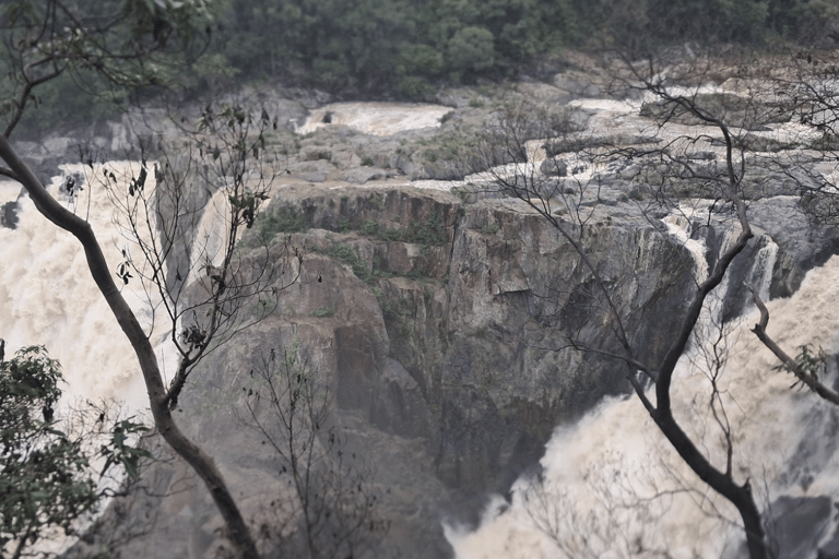 Kuranda Self-Guided: Skyrail & Railway w/ Express Transfers