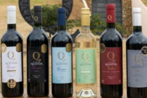 Olivares del Quintón: Exclusive Wine & Olive Experience Wine-Paired Lunch