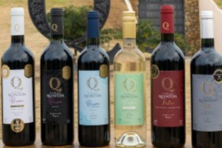 Olivares del Quintón: Exclusive Wine & Olive Experience Wine-Paired Lunch