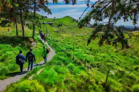 Discover Haugesund and visit a local mountain farmer
