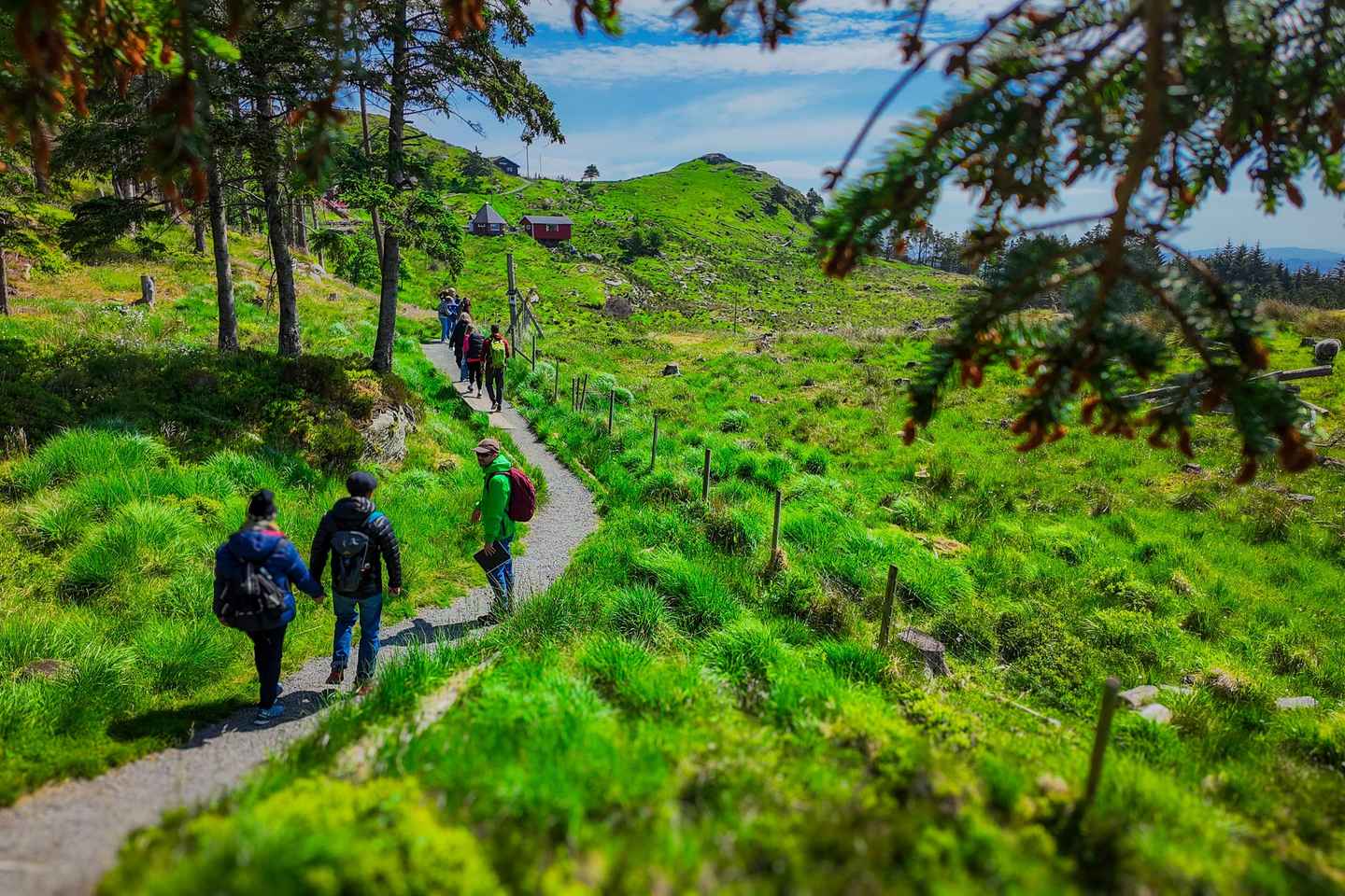 Discover Haugesund and visit a local mountain farmer