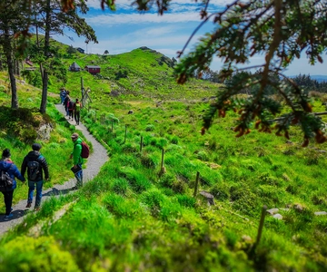 Discover Haugesund and visit a local mountain farmer