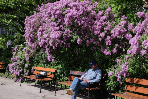 Oslo: Guided Photo Tour with Customizable Itinerary