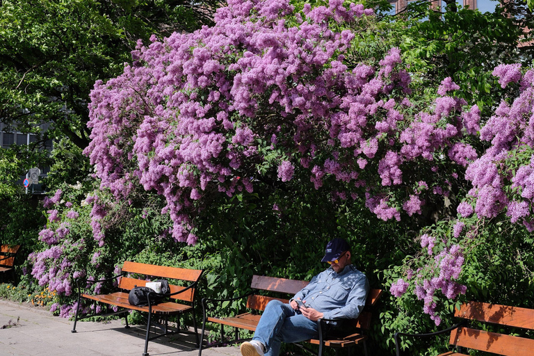 Oslo: Guided Photo Tour with Customizable Itinerary