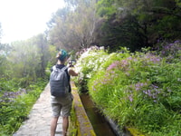 Rabaçal, Lagoa do Vento, Levada Risco and Levada 25 Fontes - Housity