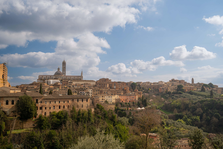 Florence: Tuscany 1-Day Flexible Sightseeing Bus Tour