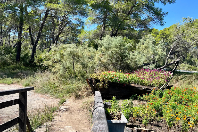 تيرانا: رحلة ليوم واحد إلى أبولونيا وبحيرة كارافاستا مع الغداء