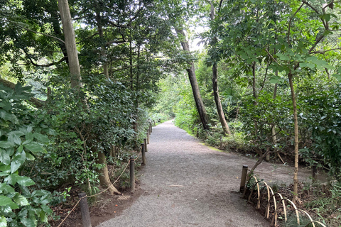 Tokyo: Meiji Jingu Shrine and Shinto Culture Walking Tour Meiji Shrine Walking Tour