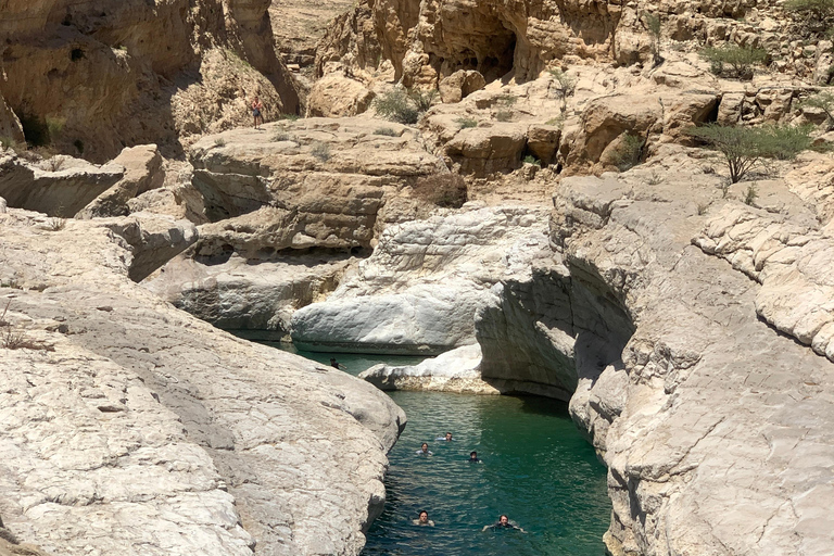 Muscat: Wahiba Desert &amp; Wadi Bani khalid Private Tour+Lunch
