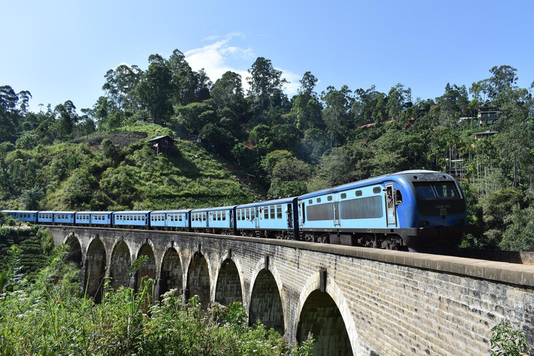 8-Day Sri Lanka Private Tour with Hotels, Train Ride &Safari
