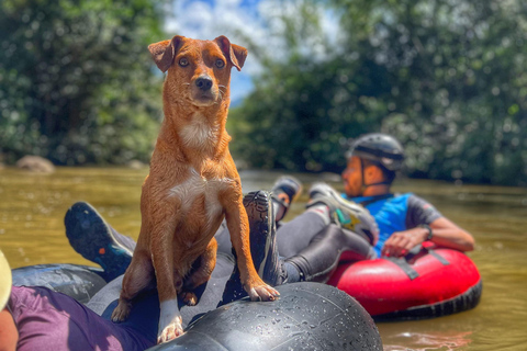 Medellín: Magical Tubing Río Arenal San Rafael