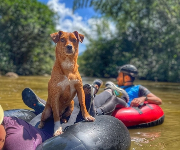 Medellín: Tubing Mágico Rio Arenal San Rafael