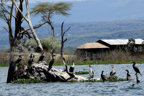 Nairobi: Crescent Island Sanctuary Day Trip with Lunch Nairobi: Crescent Island Sanctuary private day Trip