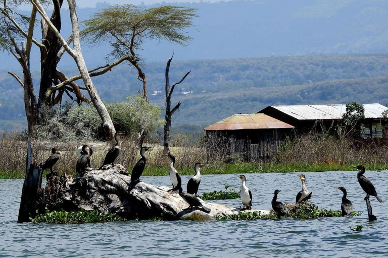 Nairobi: Crescent Island Sanctuary Day Trip with Lunch Nairobi: Crescent Island Sanctuary private day Trip