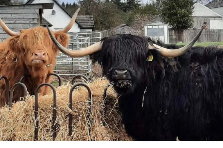 Invergordon: Loch Ness, Culloden, & Urquhart Castle Tour