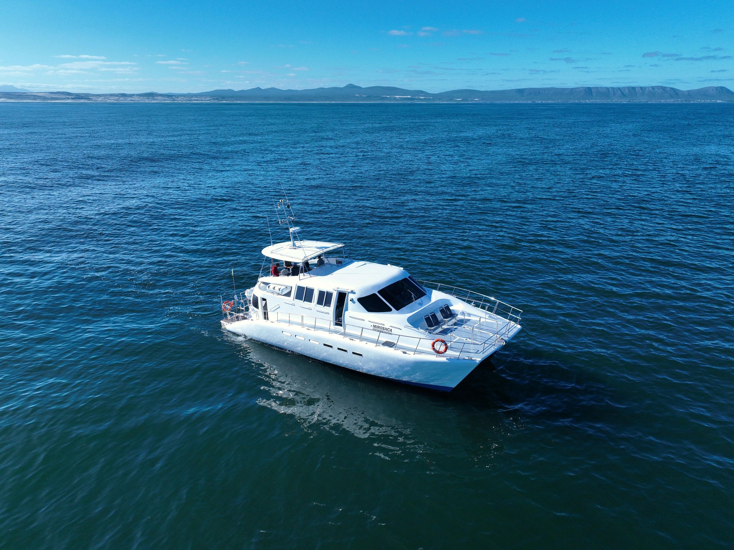 Hermanus: Whale Watching und Weinprobe