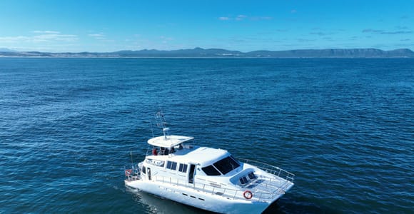 Hermanus: Whale Watching und Weinprobe